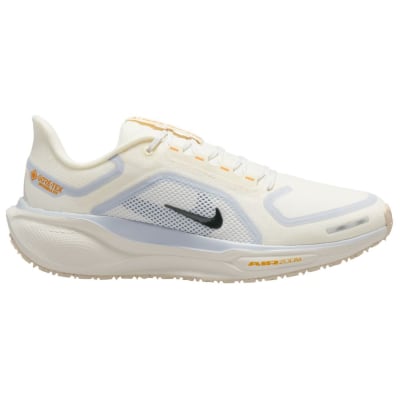 Nike Pegasus 41 GTX Waterproof Road Herren Laufschuhe