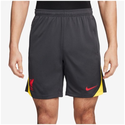 Nike Liverpool FC NK DF Strk Kz3R Herren Teamhose