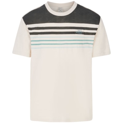 Protest PRTHowlen Herren T-Shirt