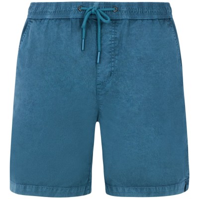 Protest PRTNivel Herren Shorts