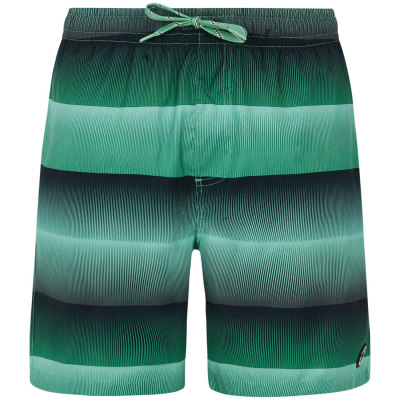 Protest PRTRadar Herren Badehose