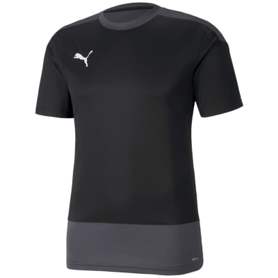 Puma TeamGOAL 23 Training Herren Trikot