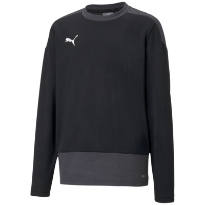 Puma TeamGOAL 23 Training Sweat Kinder Trikot