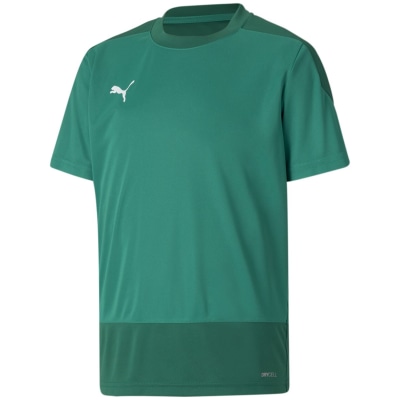 Puma TeamGOAL 23 Training Kinder Trikot