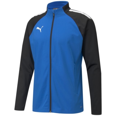 Puma TeamLIGA Training Herren Blouson