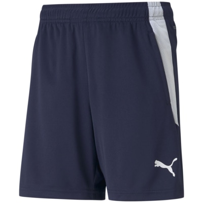 Puma TeamLIGA Training Kinder Shorts