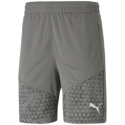Puma TeamCUP Training Herren Shorts