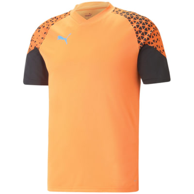 Puma IndividualCUP Training Herren Trikot