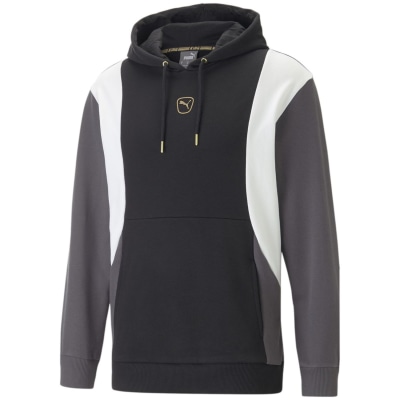 Puma KING Top Herren Kapuzensweater