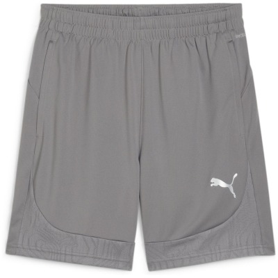 Puma teamFINAL Training Herren Shorts
