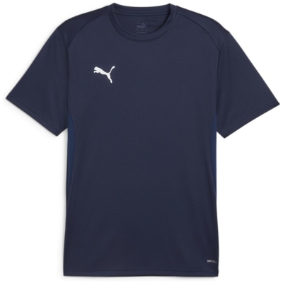 Puma teamGOAL Herren T-Shirt