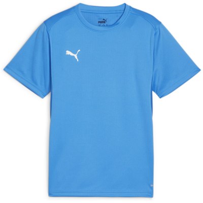 Puma teamGOAL Junior Jungen T-Shirt