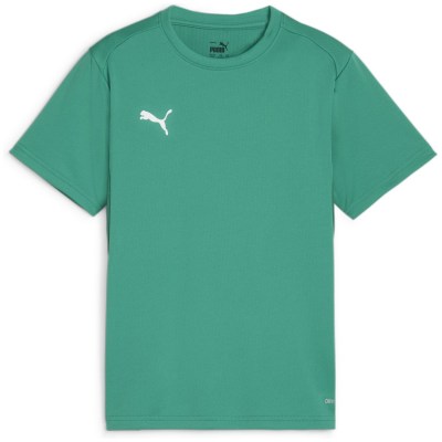 Puma teamGOAL Junior Jungen T-Shirt