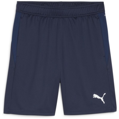 Puma teamGOAL Training Herren Shorts