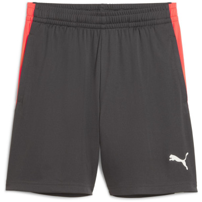 Puma IndividualLIGA Training 2 (open pockets)