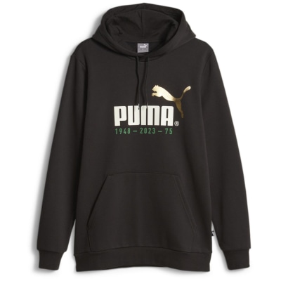 Puma No. 1 Logo Celebration FL Herren Kapuzensweater