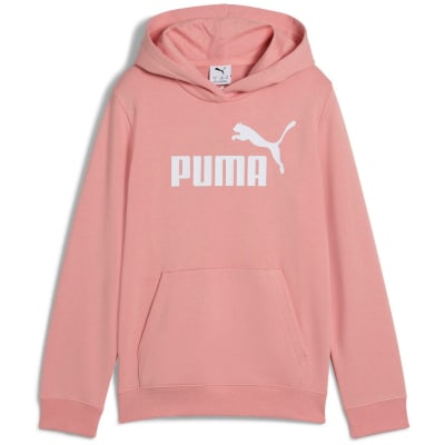 Puma ESS No. 1 Logo TR Mädchen Kapuzensweater
