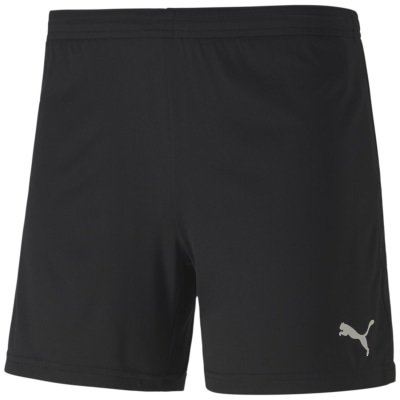 Puma teamGOAL 23 knit