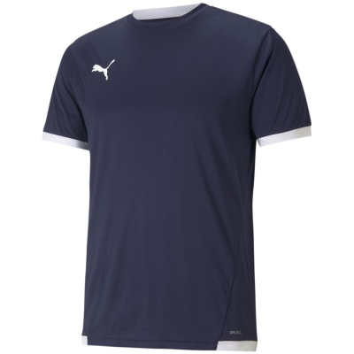 Puma TeamLIGA Herren Trikot