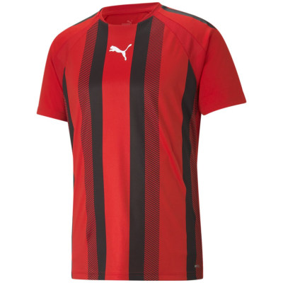 Puma TeamLIGA Striped Herren T-Shirt
