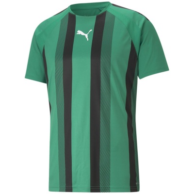 Puma TeamLIGA Striped Herren T-Shirt