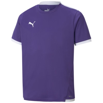 Puma TeamLIGA Kinder Trikot