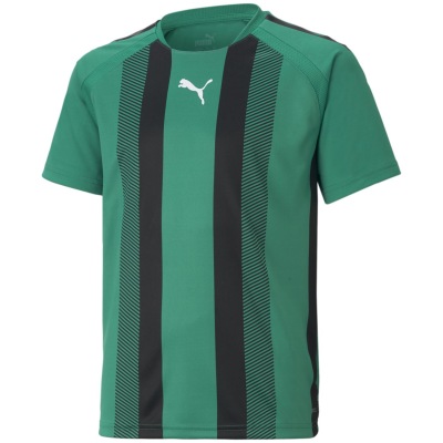 Puma TeamLIGA Striped Kinder T-Shirt