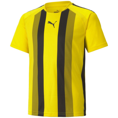 Puma TeamLIGA Striped Kinder T-Shirt