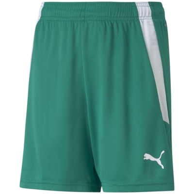 Puma TeamLIGA Kinder Shorts