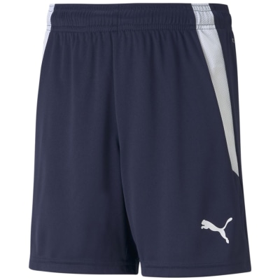 Puma TeamLIGA Kinder Shorts