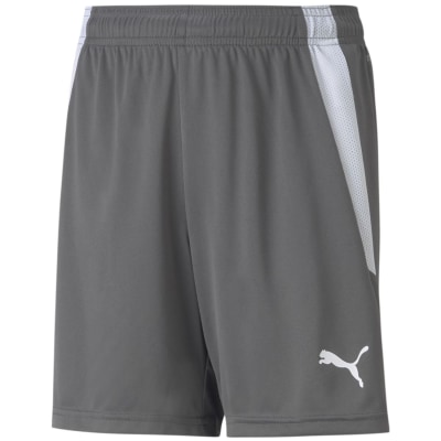 Puma TeamLIGA Kinder Shorts