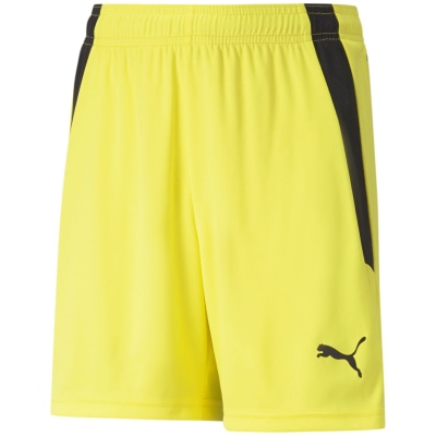 Puma TeamLIGA Kinder Shorts