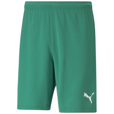 Puma TeamRISE Short Herren Shorts
