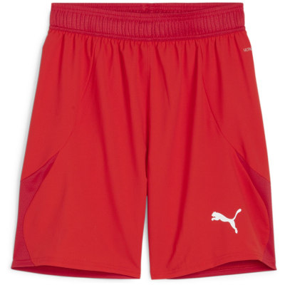 Puma teamFINAL Herren Shorts