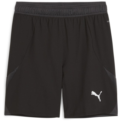 Puma teamFINAL Herren Shorts