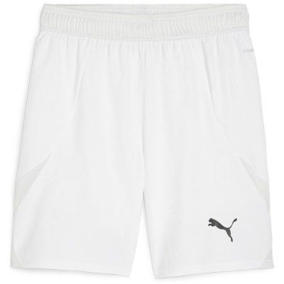 Puma teamFINAL Herren Shorts