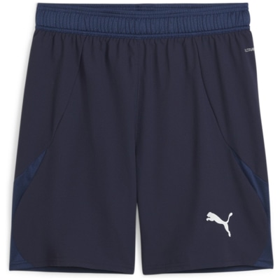 Puma teamFINAL Herren Shorts