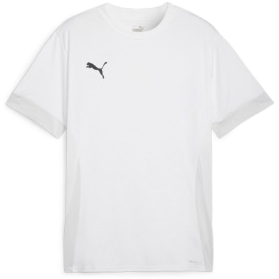 Puma teamGOAL Matchday Herren Trikot