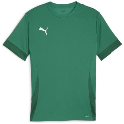 Puma teamGOAL Matchday Herren Trikot