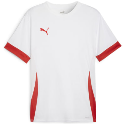 Puma teamGOAL Matchday Herren Trikot