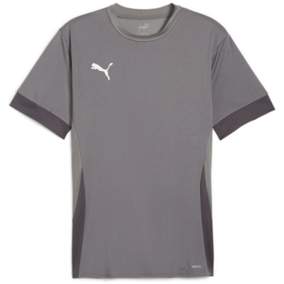 Puma teamGOAL Matchday Herren Trikot