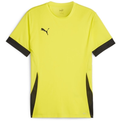 Puma teamGOAL Matchday Herren Trikot