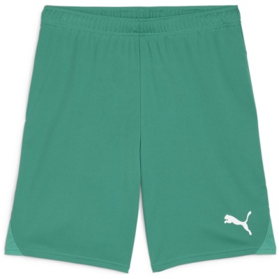 Puma teamGOAL Herren Shorts