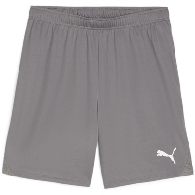 Puma teamGOAL Herren Shorts
