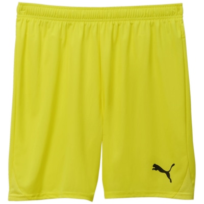 Puma teamGOAL Herren Shorts