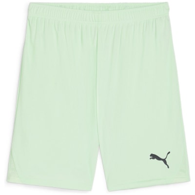 Puma teamGOAL Herren Shorts
