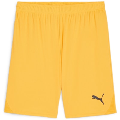 Puma teamGOAL Herren Shorts