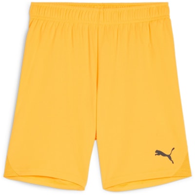 Puma teamGOAL Junior Kinder Shorts