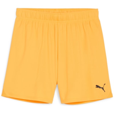 Puma teamGOAL Damen Shorts