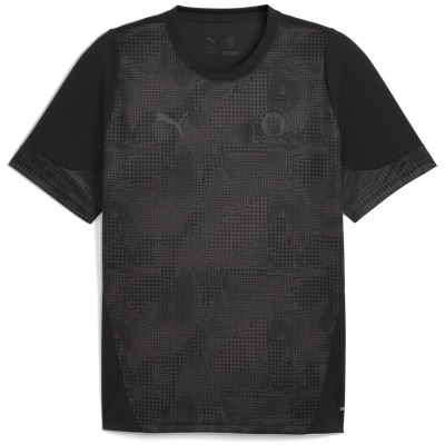 Puma FC St. Pauli Training Herren T-Shirt